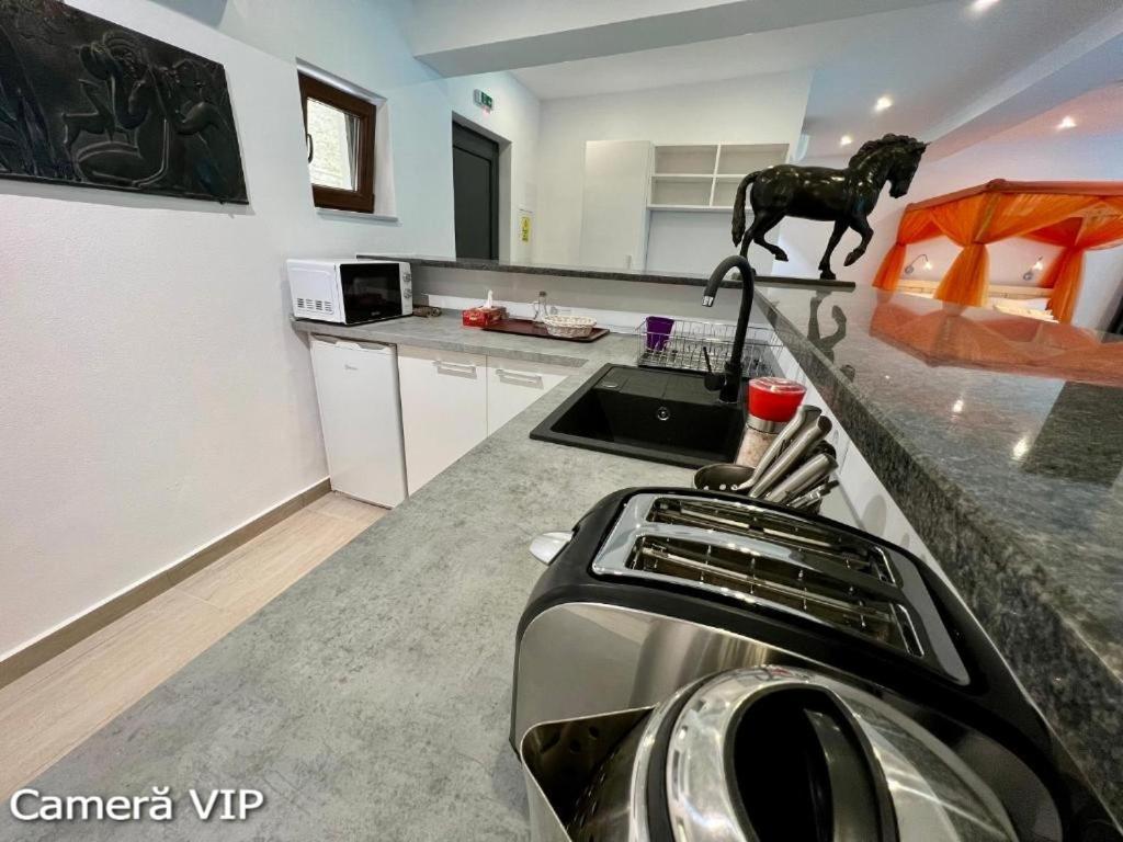 Casa Eden - Apartamente Langa Lac Colibiţa Eksteriør billede